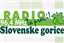 Radio Slov. Gorice